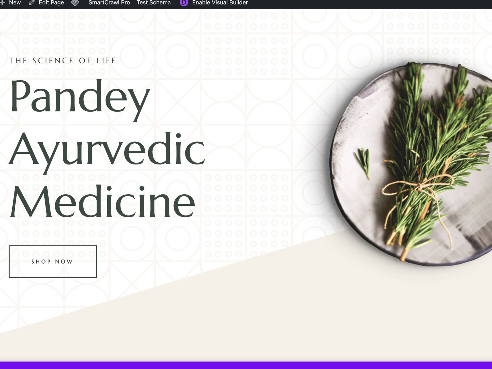 British Ayurveda – Pandey Ayurvedic Medicine