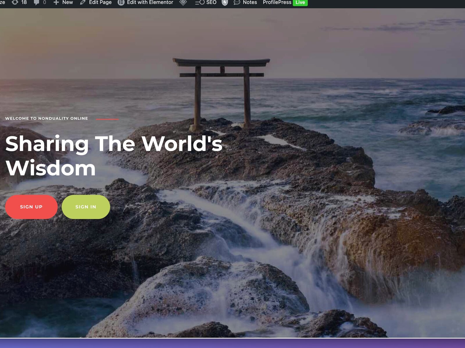 Nonduality Online – Membership Platform